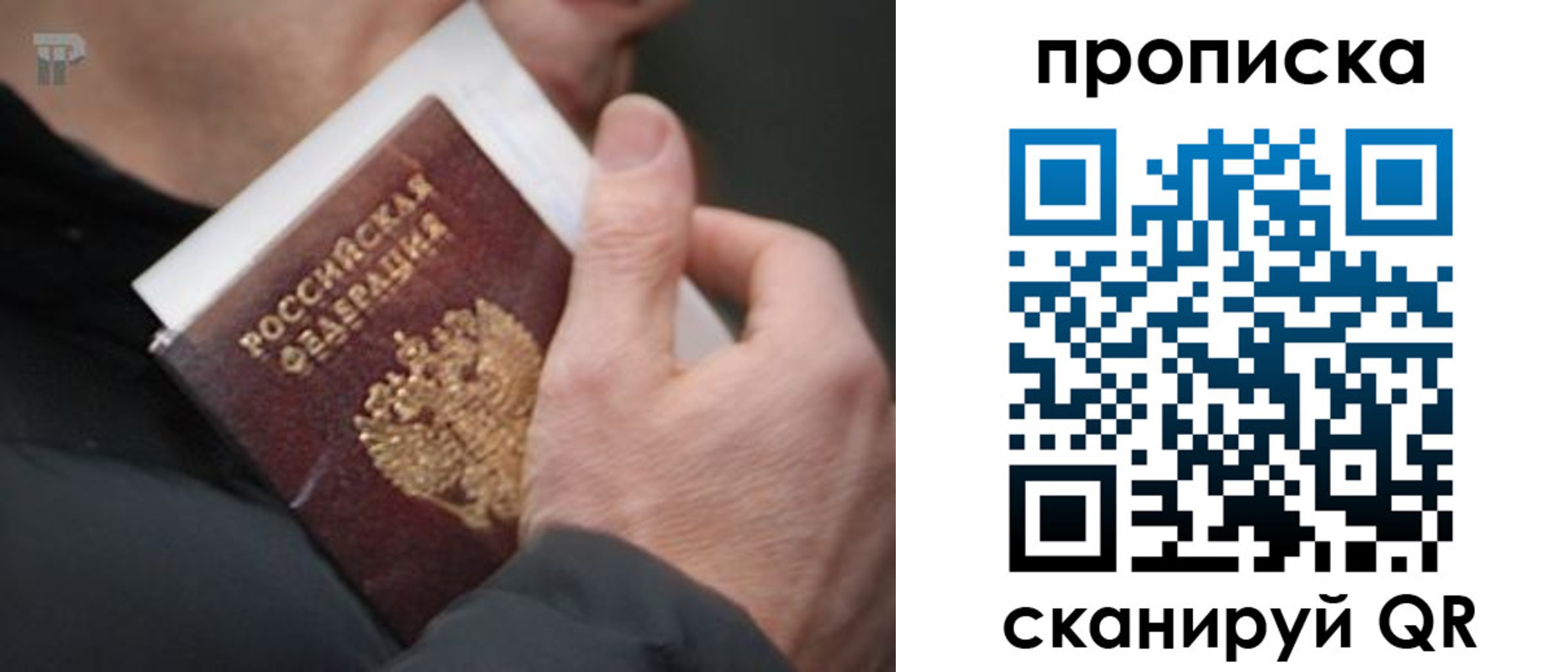 временная регистрация гарантия в Кирсе